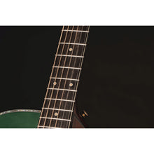 Takamine LTD2025