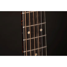 Takamine LTD2025