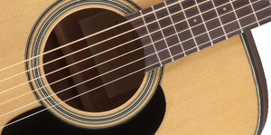 TAKAMINE GD10-NS