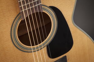 TAKAMINE GN10-NS