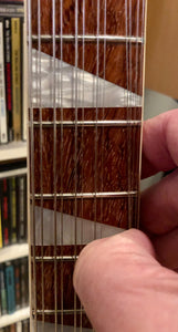 Rickenbacker 660/12
