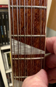Rickenbacker 660/12
