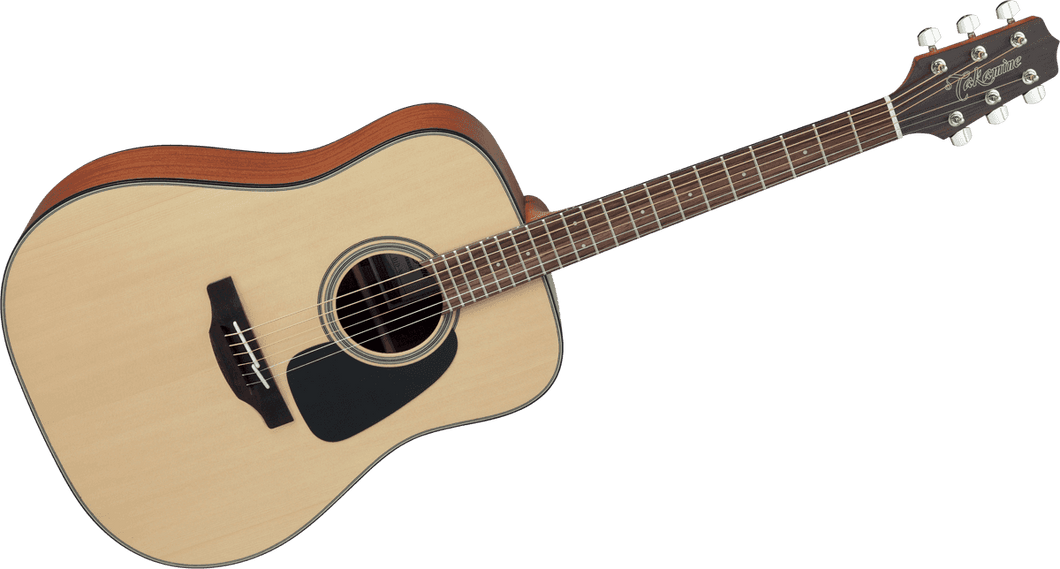 TAKAMINE GD10-NS