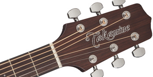 TAKAMINE GD10-NS