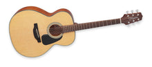 TAKAMINE GN10-NS