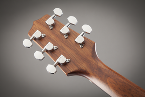 TAKAMINE GN10-NS