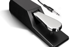 ASP-2 | UNIVERSAL PIANO STYLE SUSTAIN PEDAL